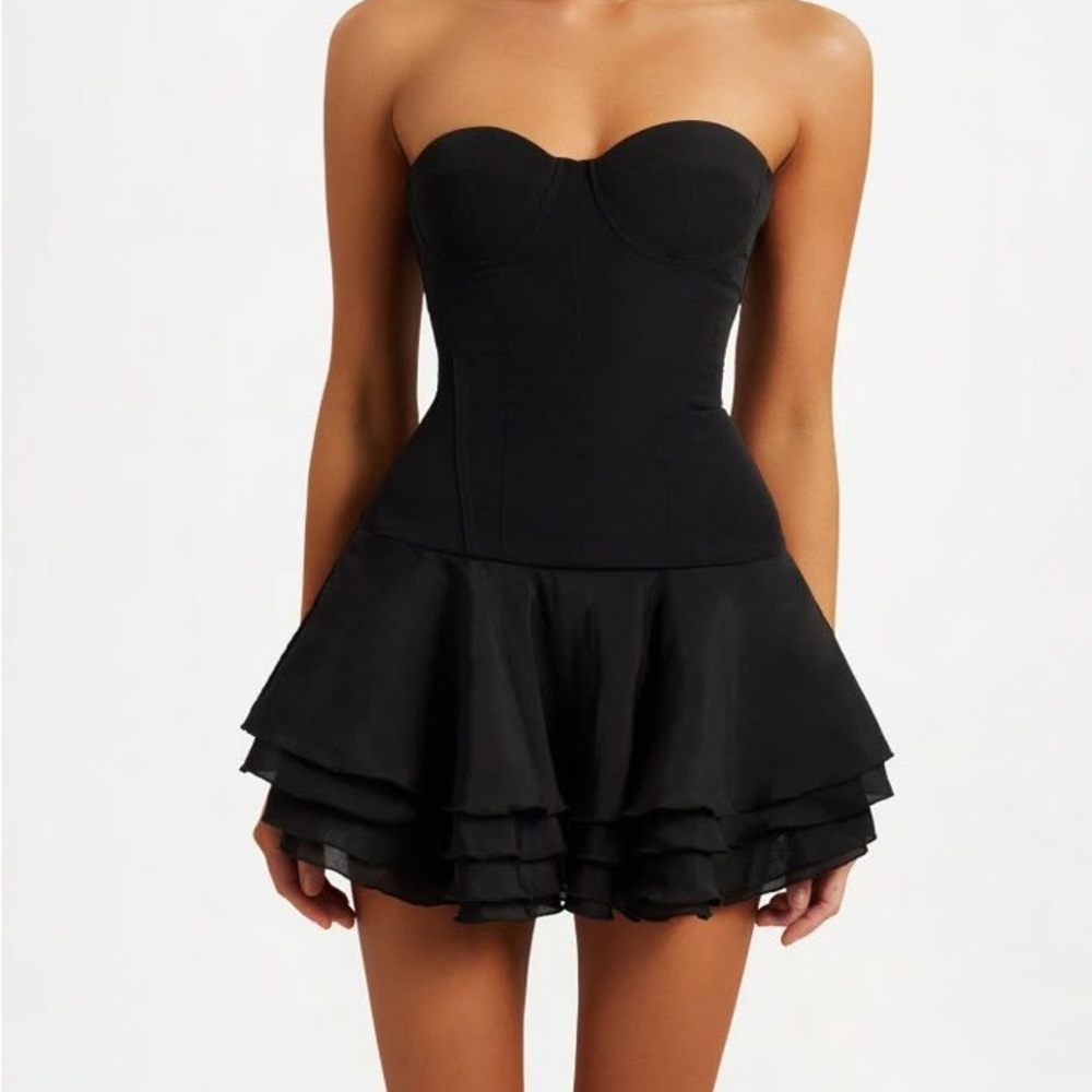 Heiress Beverly Hills Corset Chiffon Flared Mini Dress